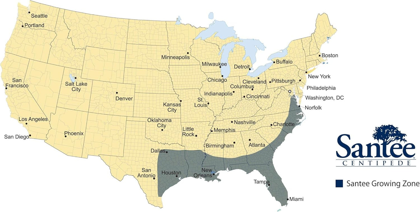 Lawnifi Santee Centipede Grass Seeds for Lawn, 2 lbs Covers 4,000 Sq Ft