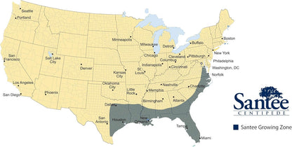 Lawnifi Santee Centipede Grass Seeds for Lawn, 2 lbs Covers 4,000 Sq Ft