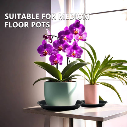 6 Pack 12-Inch Black Plant Saucer Trays, Thick PP Plastic Planter Bases for Large Pots, Strong Flower Pot Water Catcher Plates & Heavy Duty Drip Trays for Patio and Indoor Use