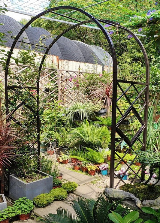 Heavy Duty Steel Garden Arbor & Trellis Arch for Grape Vines Climbing Plants Pergola Outdoor Theme Decoration Archway 180cm 260cm 340cm 140cm (Color : Black, Size : 55" W x 91" H)