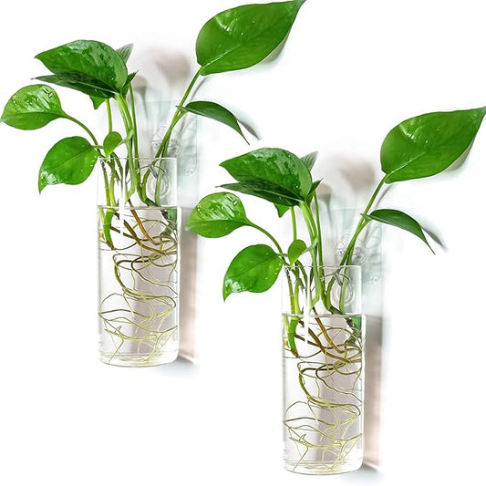 Kingbuy Glass Tube Wall Planter Propagation Station - 2 Pack Terrarium Cylinder Wall Vase with Plant Holder Hydroponic Planter for Home Kitchen Office Decor, Perfect Plant Lover Gifts (Short Cylinder)