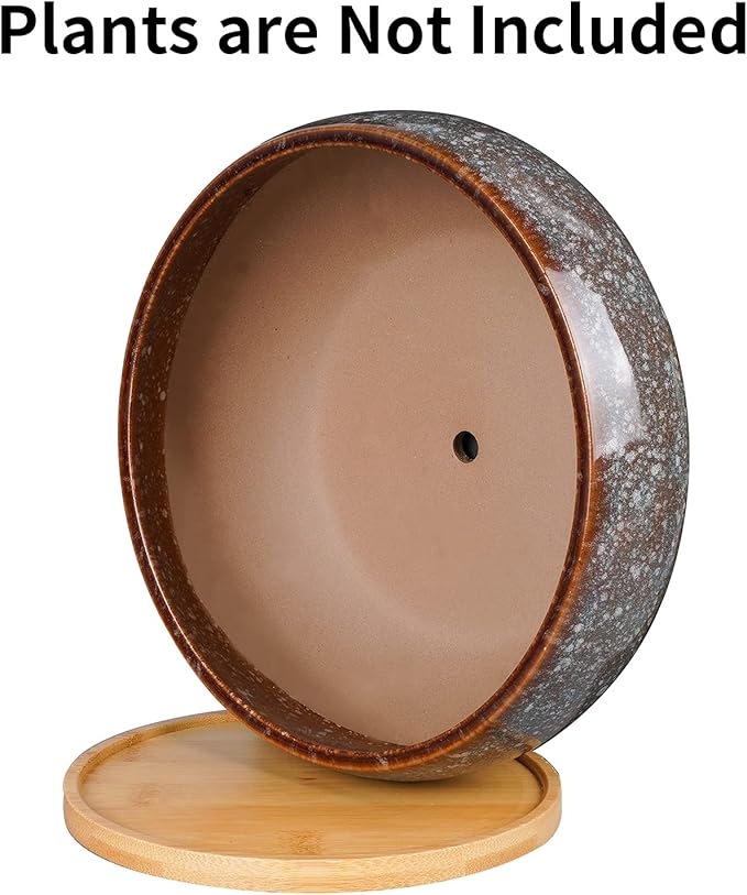 8 Inch Ceramic Bonsai Planter Pot, Glazed Shallow Succulent Planter with Drainage Hole and Bamboo Saucer for Indoor Plants, Green