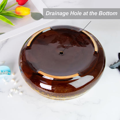 ARTKETTY Succulent Pots - 8 Inch Plant Pot, Large Bonsai Pots with Drainage, Ceramic Planters for Indoor Outdoor Plants, Round Shallow Cactus Flower Plant Container Bowl Decorative Home Garden