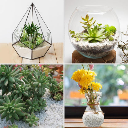 5lbs White Pebbles for Indoor Plants, 3/8inch Small Rocks for Succulent Cactus Planters, Natural Polished Pebbles, River Rocks for Plants, Vases, Garden