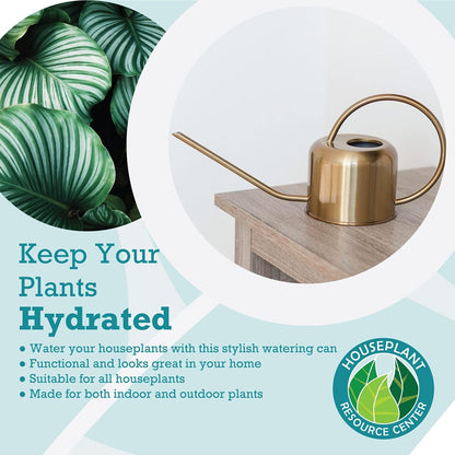 Stainless Steel Watering Can for Houseplants by Houseplant Resource Center | 1L Capacity for Indoor/Outdoor Plants in Brushed Silver