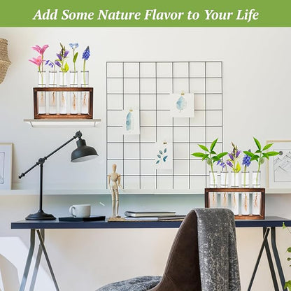 2pcs Desktop Glass Plant Propagation Station with 10 Test Tubes in Wooden Stand - Hydroponic Plants Cutting Office Home Decoration and Garden Decor Terrarium (10 Tubes)