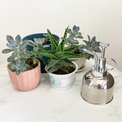 Plant Mister Spray Bottle Stainless Steel Plant Sprayer, Small Watering can Plant Spray Bottle Modern Gardening Tools for Indoor Potted Plants Watering and Spraying