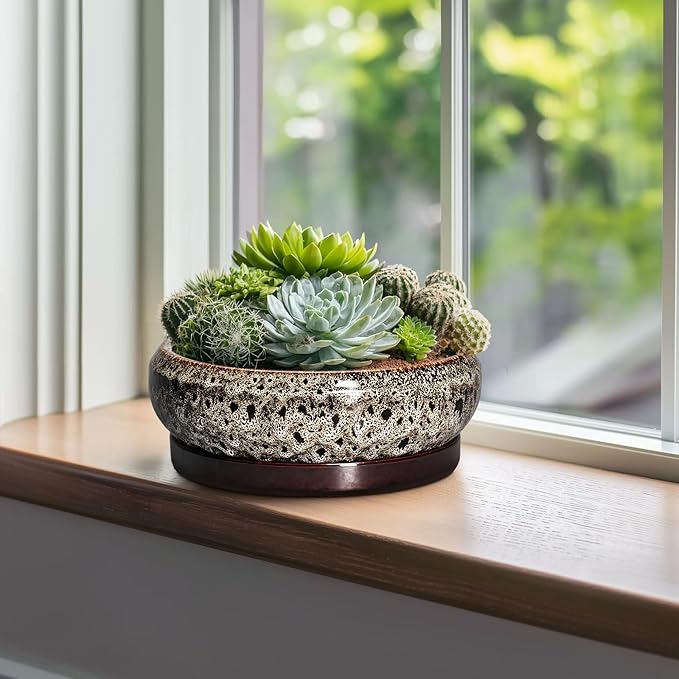 Succulent Pots 10 Inch - Ceramic Bonsai Pots with Drainage Hole and Tray, Large Succulent Planters, Shallow Planter Indoor, Round Planter Bowl, Window Decor, Gifts for Plant Lovers, White