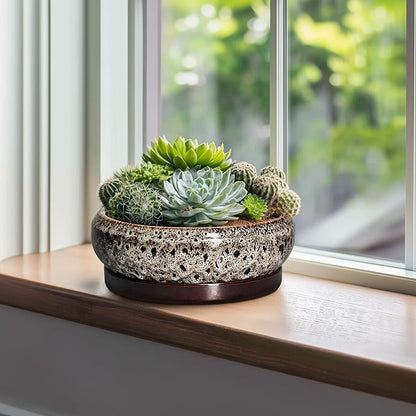 Succulent Pots 10 Inch - Ceramic Bonsai Pots with Drainage Hole and Tray, Large Succulent Planters, Shallow Planter Indoor, Round Planter Bowl, Window Decor, Gifts for Plant Lovers, White