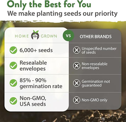 HOME GROWN 12 Winter Vegetable Seeds 𝗡𝗢𝗡-𝗚𝗠𝗢 Heirloom,Fall & Winter Vegetable Seeds for Planting Home Garden: Bean, Beet, Broccoli, Cabbage, Carrot, Cauliflower, Kale,Parsnip,Squash,Chard & More