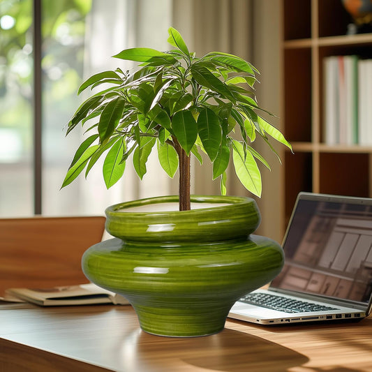 Ceramic Planters for Indoor Plants 11 Inch - Bonsai Plant Pots Outdoor, Large Planters for Indoor Plants, Green Planter with Drainage Hole, Flower Pot for Garden Decor, Gift for Women Men