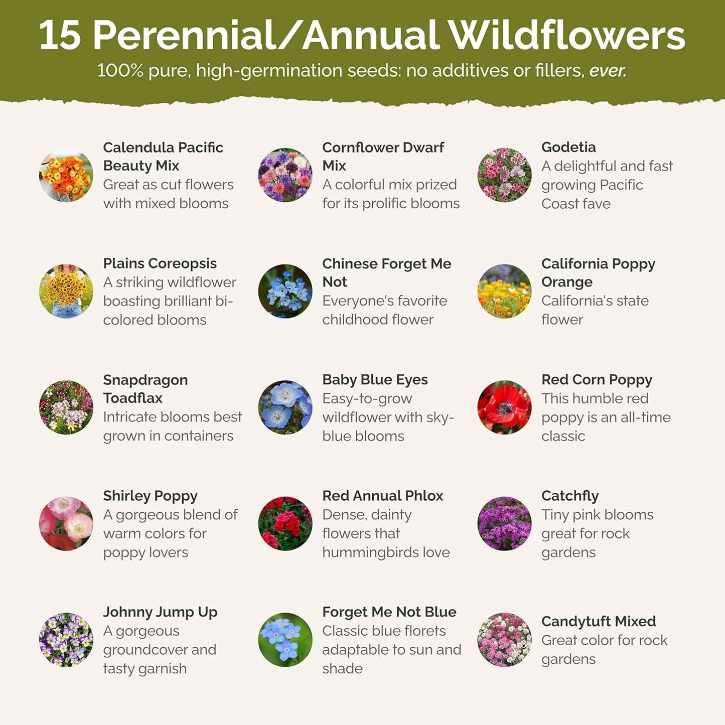 Eden Brothers Shorty Low Grow Wildflower Mixed Seeds for Planting, 25 lb, 12,000,000+ Seeds with Calendula, Cornflower | Attracts Pollinators, Plant in Spring or Fall, Zones 3, 4, 5, 6, 7, 8, 9, 10