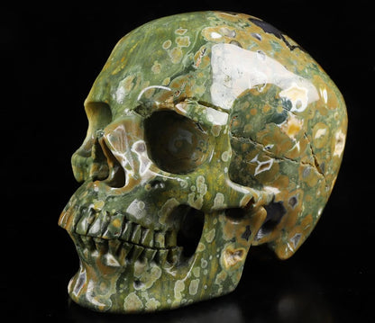 Skullis 5.0” Rainforest Jasper Hand Carved Crystal Skull, Super Realistic, Crystal Healing, Hand Carved Gemstone Fine Art Sculpture, Reiki Healing Stone Statue.377 Z8