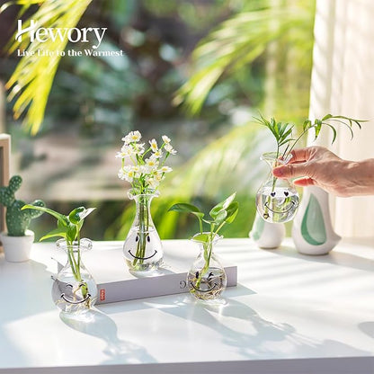 Hewory Smiley Face Glass Planter: 4 PCS Cute Propagation Stations for Hydroponic Plants Cutting Flowers - Clear Terrarium Propgation Vases Jars for Home Office Decor Plant Lover Gifts