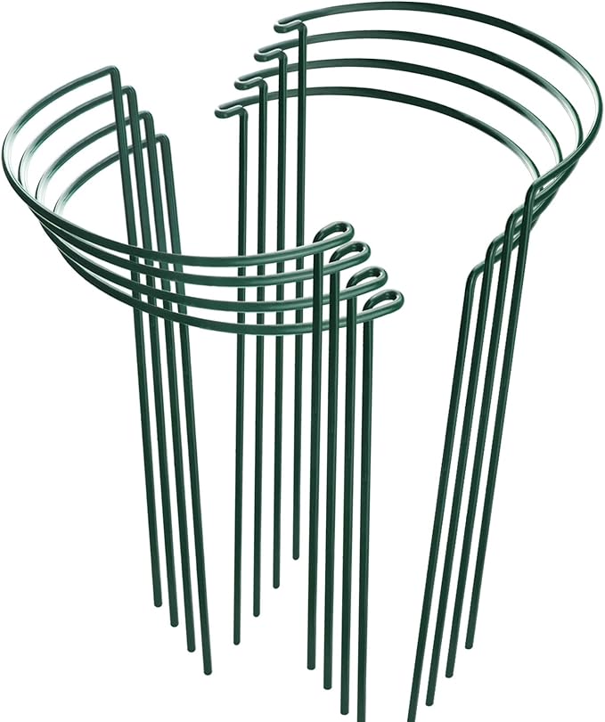 HiGift 8 Pack Plant Support Stakes, Half Round Metal Garden Plant Stake Indoor Peony Cages and Supports, Green Plant Support Ring Border for Tomato,Hydrangea,Flower Outdoor (10" Wide x 15.8" High)