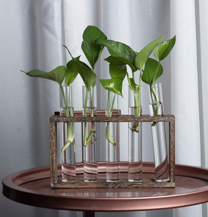 5 Tube Wooden Plant Propagation Station, Tabletop Glass Terrarium Holder for Cuttings Hydroponics, Home Office Desk Decor Gift for Women Mom Plant Lovers, Brown