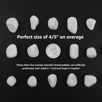 20 lbs White Polished Garden Stones, 0.5-1 Inch Decorative Rocks for Landscaping, Pathways, Yard Borders, Pots, Aquarium Decoration, and DIY Craft Projects (Pure White, Weight: 20 LB)