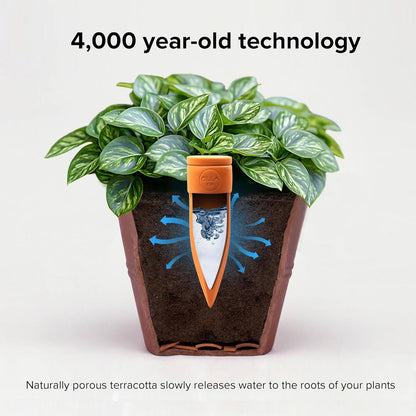 Plant Watering Spikes with Lids - Ideal for 8”-12” Pots - Vacation Friendly - Terracotta - Large - Set of 4