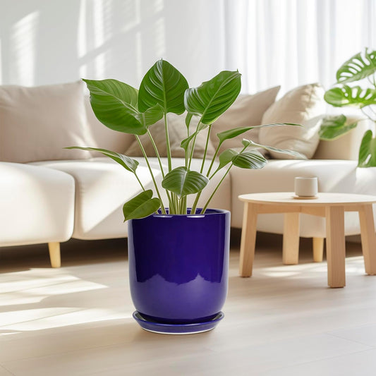 10 Inch Plant Pot - Ceramic Pot for Indoor Plants Large Planter Modern Outdoor Flower Pot with Drainage Hole and Saucer for Home Patio Decor Blue