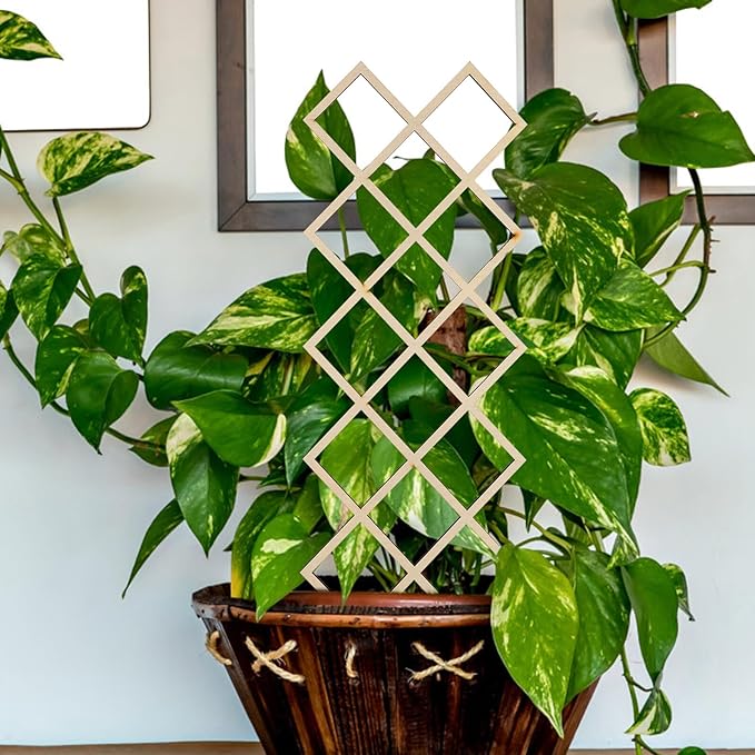 2pcs Wooden Plant Trellis for Indoor Potted Plants Stable Climbing Support Frame for Orchids and Smooth Polished Garden Trellis Cage to Protect and Shape Climbing Vines