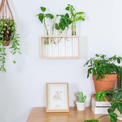 Propagation Station, Plants Terrarium, Plants Lover Gifts for Women,Plant Cutting Holder Home décor,Gifts for Women,House Warming New Home-5 Tubes-Beige