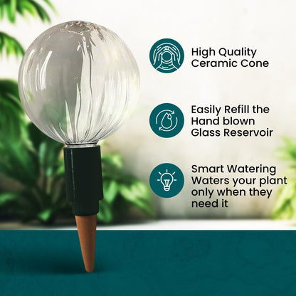 Blumat Glass Plant Self Watering Globes,Automatic Houseplant Drip Irrigation for Indoor Plants, Hanging Plants, Houseplants, Plant Garden Accessories,Vacation Plant Savers,Large Globe Small Adapter