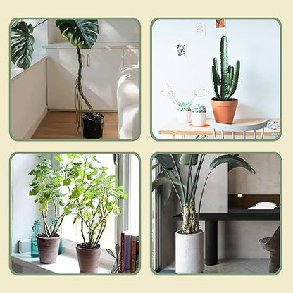 10lbs Black Rocks for Planters 1"-2" Natural Decorative River Pebbles Black Polished Pebbles for Plants Garden Decorative Stones for Outdoor Landscaping, Plants, Vase Filler Fish Tank Aquariums