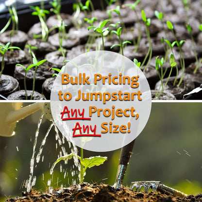 Thai Ornamental Hot Pepper 1 Lb ~195,000 Seeds – Non-GMO, Heirloom, Open-Pollinated – 50K–100K SHU – Compact, Upright Plants – Edible & Decorative – Heat-Tolerant