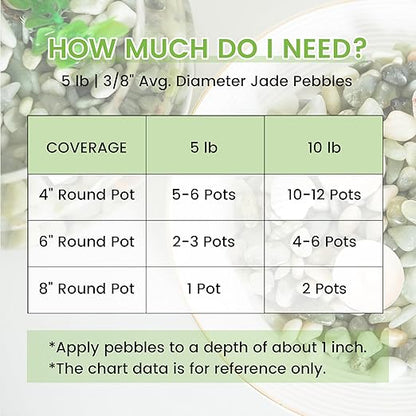 SIDONG 5 LB Jade Pebbles, 2/5 Inch Natural Decorative Polished Jade Stones, Jade River Rocks for Succulents, Cactus, Vases, Indoor Plants, Garden Landscaping, Bamboo