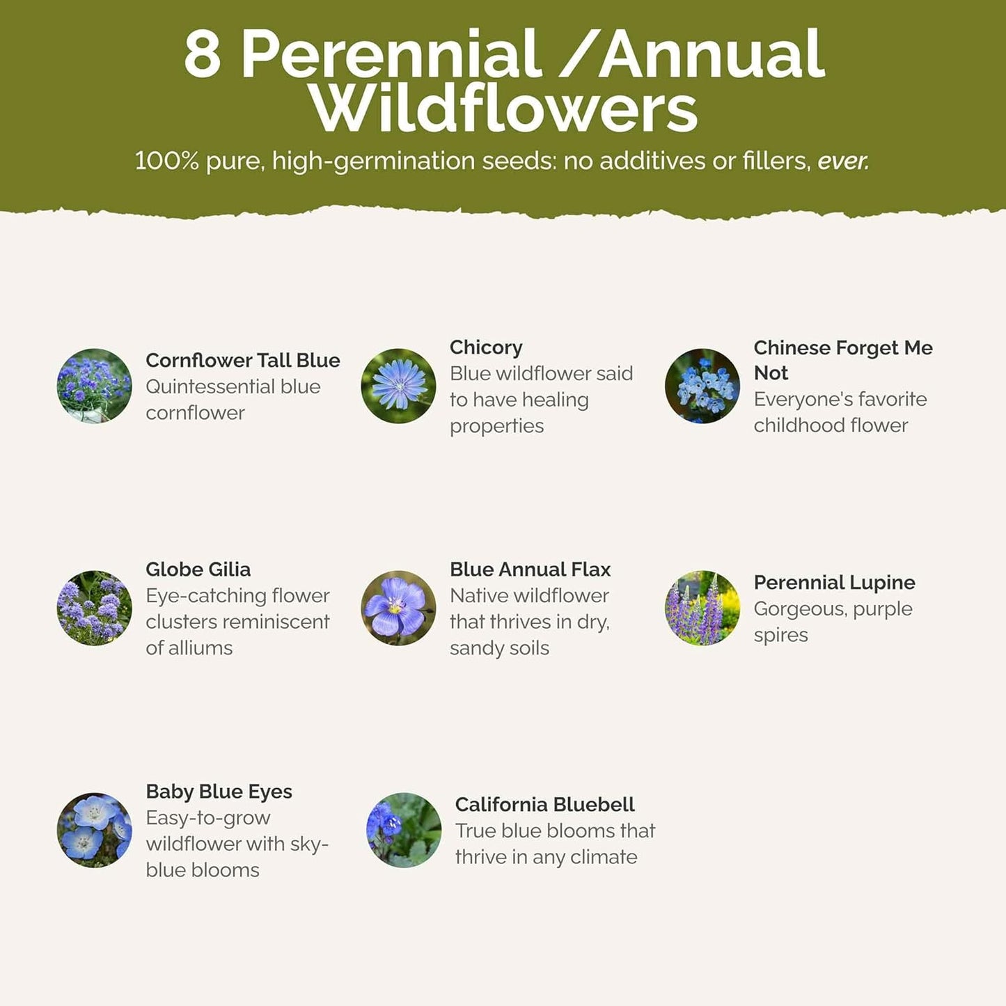 Eden Brothers Singin The Blues Wildflower Mixed Seeds for Planting, 1 lb, 480,000+ Seeds with Blue Flax, Lupine, Chicory | Attracts Pollinators, Plant in Spring or Fall, Zones 3, 4, 5, 6, 7, 8, 9, 10