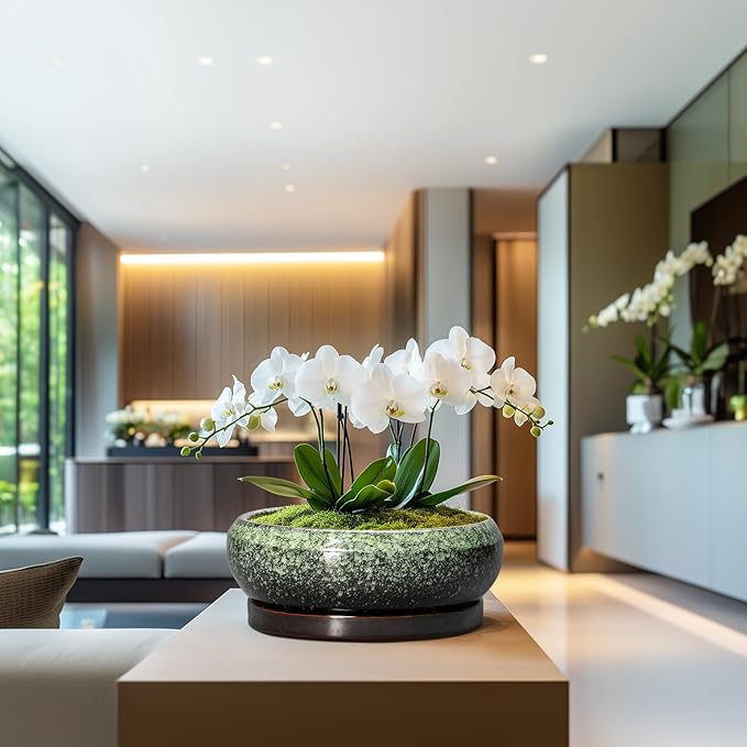 Bonsai Pots - 13 Inch Ceramic Succulent Planters Indoor, Round Shallow Planter with Drainage Hole and Saucer, Large Succulent Pot, Bowl Planter Outdoor, House Decor, Housewarming Gift, Green