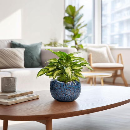 6 Inch Plant Pot - Ceramic Pots for Plants with Drainage Hole, Round Orchid Pot, Unique Planter for Indoor Outdoor, Modern Decorative Flower Pots, Room Decor, Plant Lovers Gifts, Retro Blue