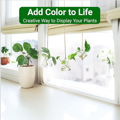 Propagation Station, Plants Terrarium, Plants Lover Gifts for Women,Plant Cutting Holder Home décor,Gifts for Women,House Warming New Home-3 Geometric Shape