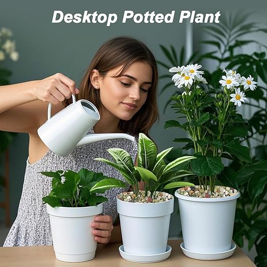 Landscaping Pebbles River Rocks Decorative Ornamental Pebbles Garden Landscaping Stones Gravel Filler for Home Decoration Flower Bed Fish Tank Plants Vases Succulents (1, Green, 1 Pound)