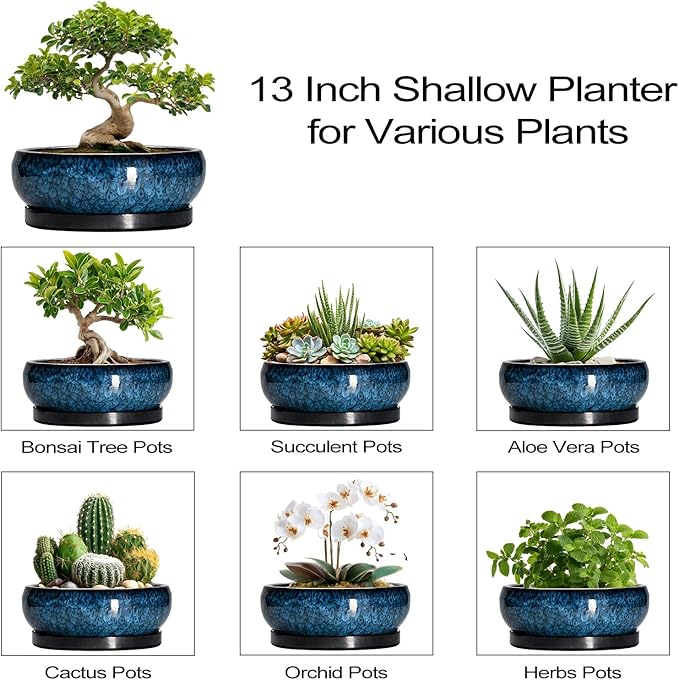 Bonsai Pots - 13 Inch Ceramic Succulent Pots for Indoor Outdoor, Large Succulent Planter with Drainage Hole and Saucer, Round Shallow Flower Planters, Porch Decor, Gardening Gifts, Blue