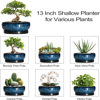 Bonsai Pots - 13 Inch Ceramic Succulent Pots for Indoor Outdoor, Large Succulent Planter with Drainage Hole and Saucer, Round Shallow Flower Planters, Porch Decor, Gardening Gifts, Blue