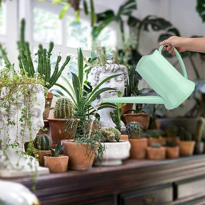 XXXFLOWER 1/2 Gallon Small Indoor Plant Watering Can, 2L Long Spout Removable Nozzle Flower Watering Pot for Office House Indoor Garden（Green, 67 oz）