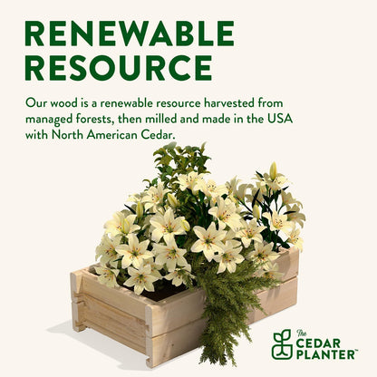 Greenes Fence Cedar Wood Planter Box with Wall Mount Brackets, 21" x 11" x 7" - Made in USA with North American Cedar