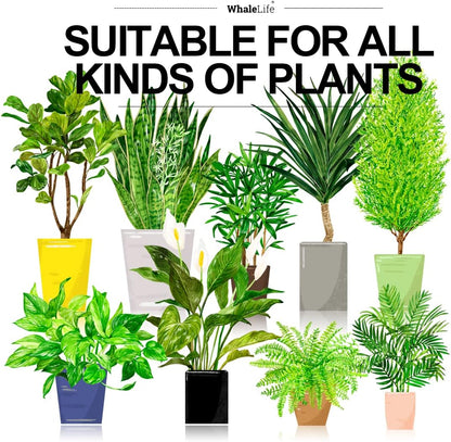 WhaleLife Indoor Watering Can for House Bonsai Plants (2.0L, White)