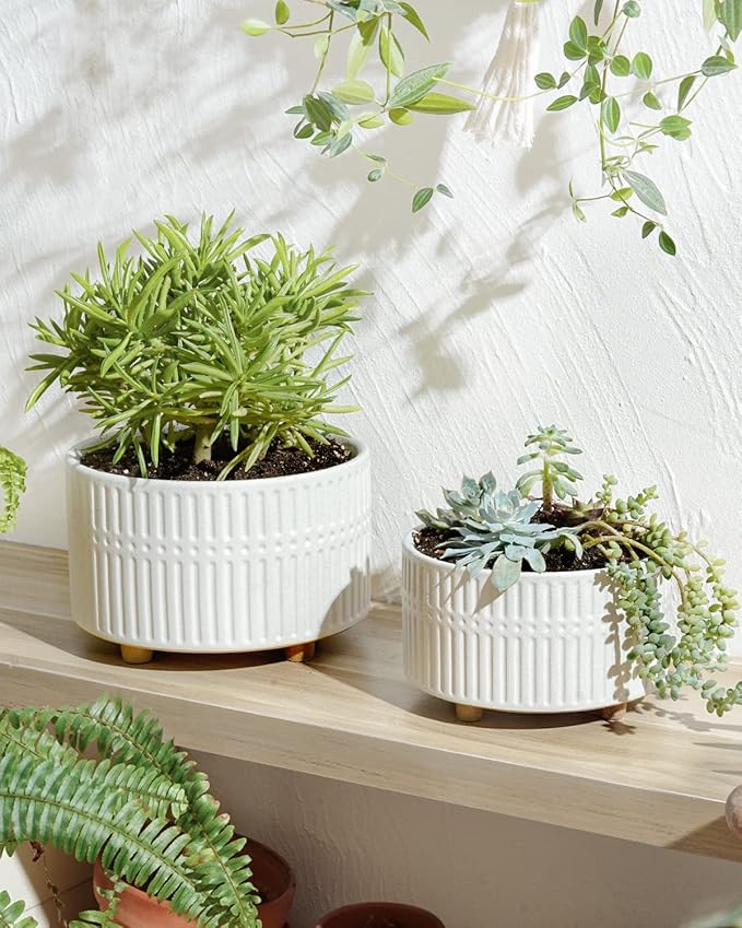 LE TAUCI Succulent Pots, 6.5+8 Inch Ceramic Indoor Plant Pot with Drainage Hole, Shallow Round Succulent Planters, Set of 2, Matte White