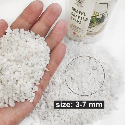 HappyFiller Succulent Cactus Soil Cover Gravels,Indoor Plants Decorative Small Rock,2-5mm Natural White Stones for Aquarium Fish Tank,Grow Media Cultivation Hydroponic Pebbles,1.1 LB