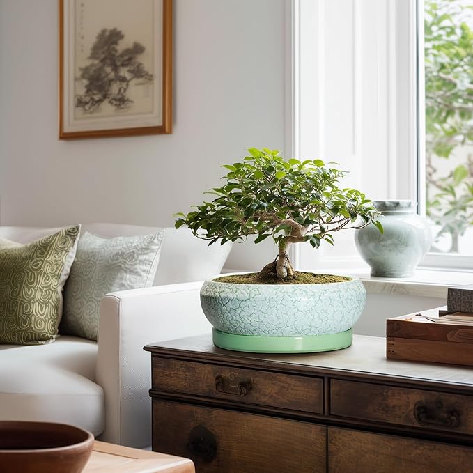 Bonsai Pots - 10 Inch Ceramic Succulent Pot with Drainage Hole and Plant Saucer, Succulent Planters for Indoor Outdoor, Round Planter Bowl, Shallow Planter, Home Decor, Gardening Gift, Green