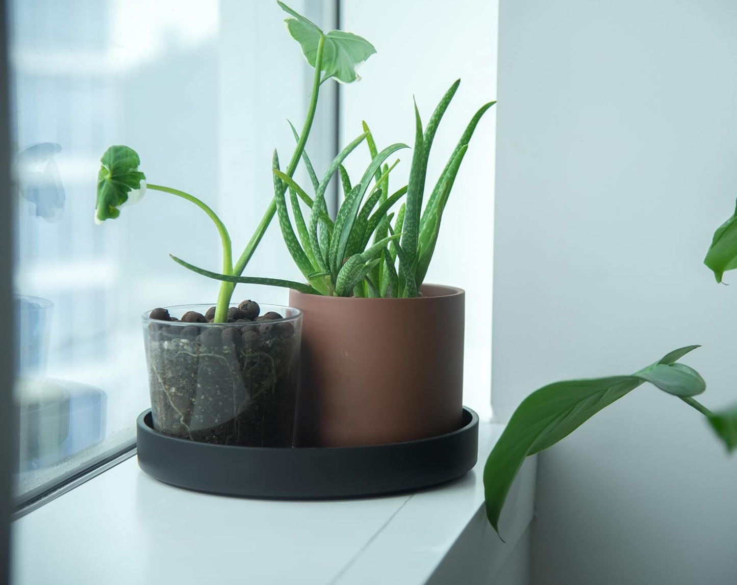 Phoenix Vine 10 Inch Plastic Plant Saucer Water Drip Tray, Heavy Sturdy Round Plant Drainage Tray for Indoors Outdoor, Matte Black, 21-TY-10B-1