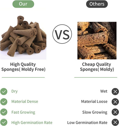 150 Pack Grow Sponges, Seed Pods Replacement Root Growth Sponges Compatible with AeroGarden, Moldy-Free, Kit with 10 Pod Labels for Hydroponic Indoor Garden System