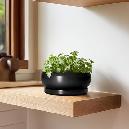 Bonsai Tree Pots Small - 6 Inch Ceramic Succulent Pots for Indoor Plants Outdoor, Round Planter with Drainage Hole and Saucer, Shallow Planter Bowl, Bathroom Decor, House Warming Gift, Black