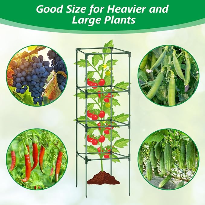 3Pack Tomato Cages for Garden,Square Tomato Plant Cage Support Heavy Duty Pole 57*15.4*15.4 Inches,Steel Plant Tower Stakes,Cherry Tomato Trellis Cucumber for Climbing Vegetables Flowers Fruits-Green