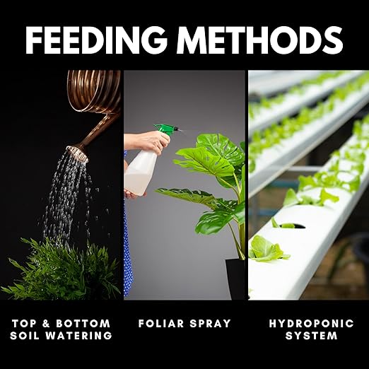 Lush Leaf | Plant Food (Cacti Succulent)