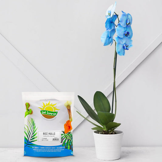 Organic Horticultural Grade Rice Hulls (2 Quarts); All-Natural Soil Amendment for Houseplants, Gardening, Seed Starting & Chicken Bedding