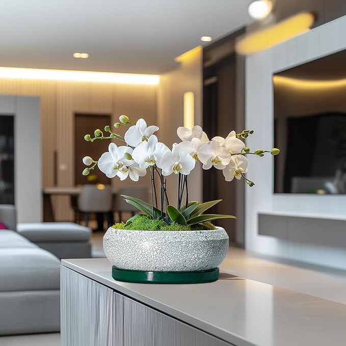 Succulent Planters 10 Inch - Ceramic Bonsai Pots with Drainage Hole and Saucer, Large Succulent Pots Indoor, Shallow Planter, Round Bowl Planter Outdoor, Patio Decor, Plant Lover Gift, Green