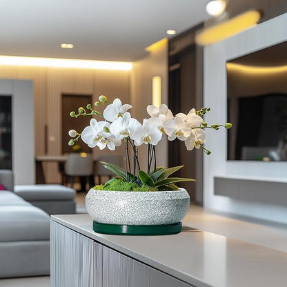 Succulent Planters 10 Inch - Ceramic Bonsai Pots with Drainage Hole and Saucer, Large Succulent Pots Indoor, Shallow Planter, Round Bowl Planter Outdoor, Patio Decor, Plant Lover Gift, Green